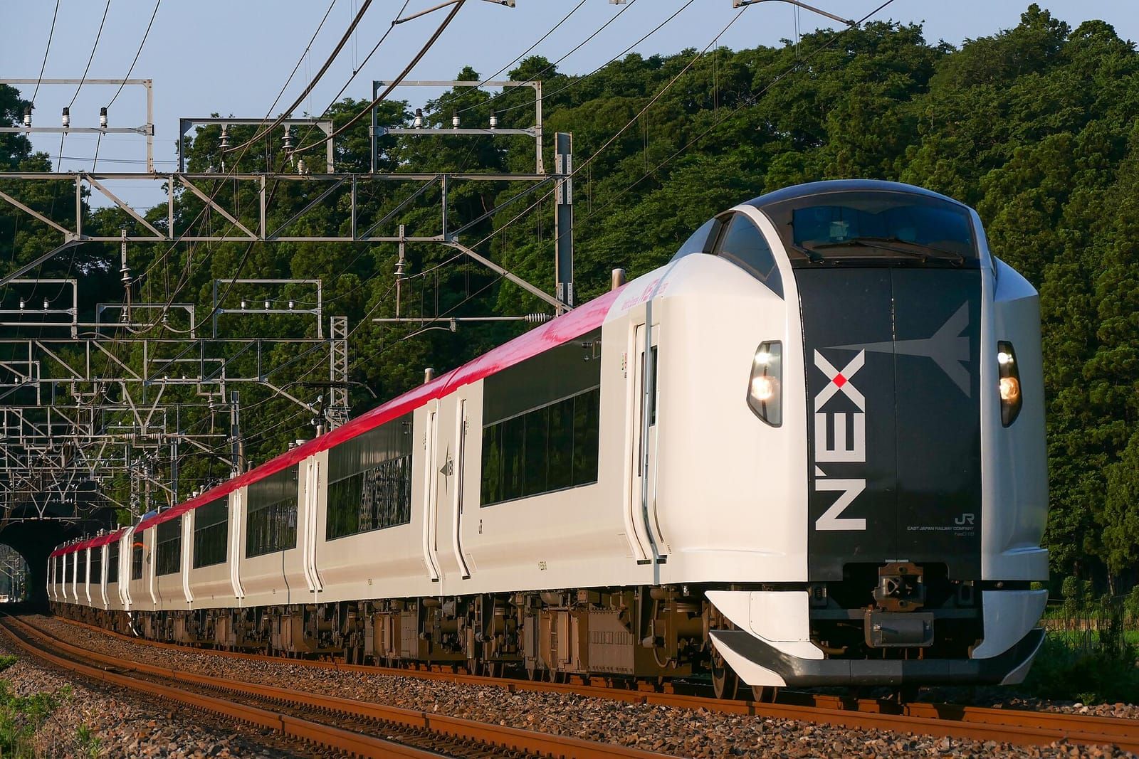 선로를 달리는 E259계 나리타 익스프레스